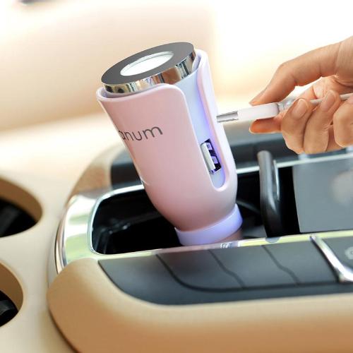 Car Aromatherapy Diffuser - Whole Body Source